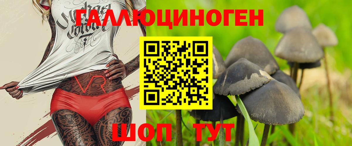 Галлюциногенные грибы MAGIC MUSHROOMS  Вход с VPN  Можайск  Галлюциногенные грибы Cubensis 