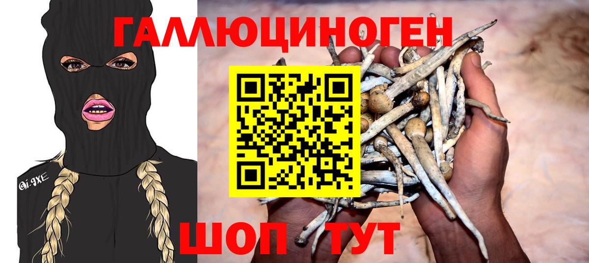 Галлюциногенные грибы ЛСД Можайск